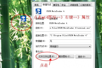 蝴蝶指标商业版
