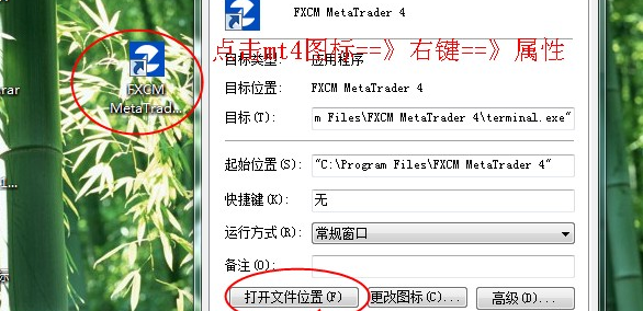 蝴蝶指标商业版