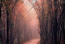 利用随机生成数组的大数据下单系统