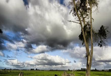 puppy量化交易与因子投资入门课