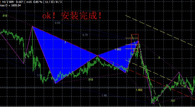 蝴蝶指标商业版